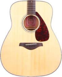 acoustic guitar