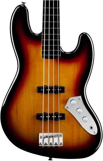 fretless bass guitar