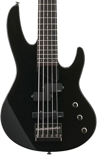 5 string bass guitar