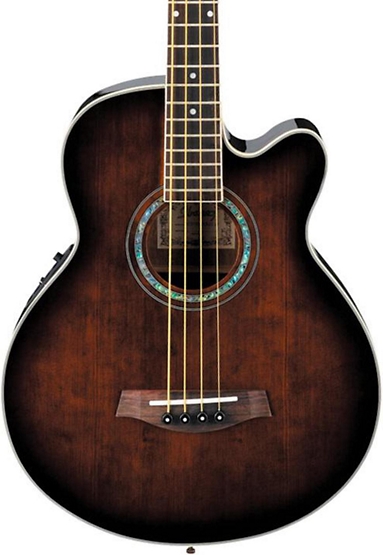 acoustic bass guitar