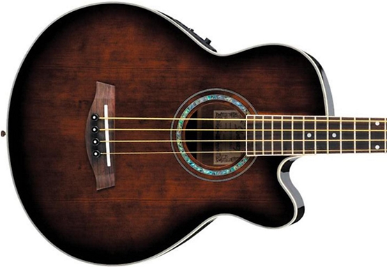 cheap acoustic bass guitar