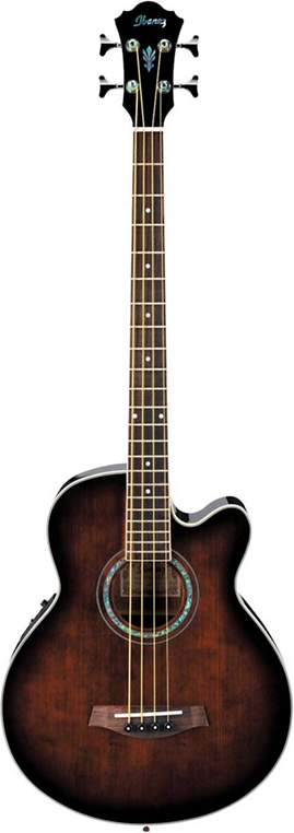 Ibanez AEB10E acoustic bass guitar