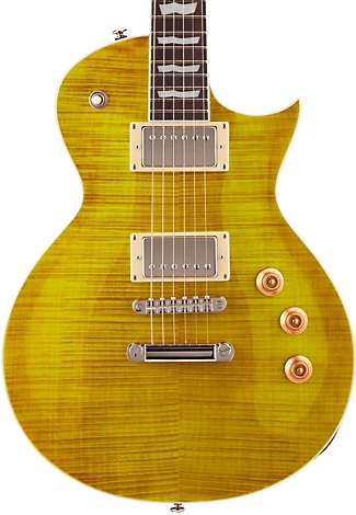 Les Paul style electric guitar